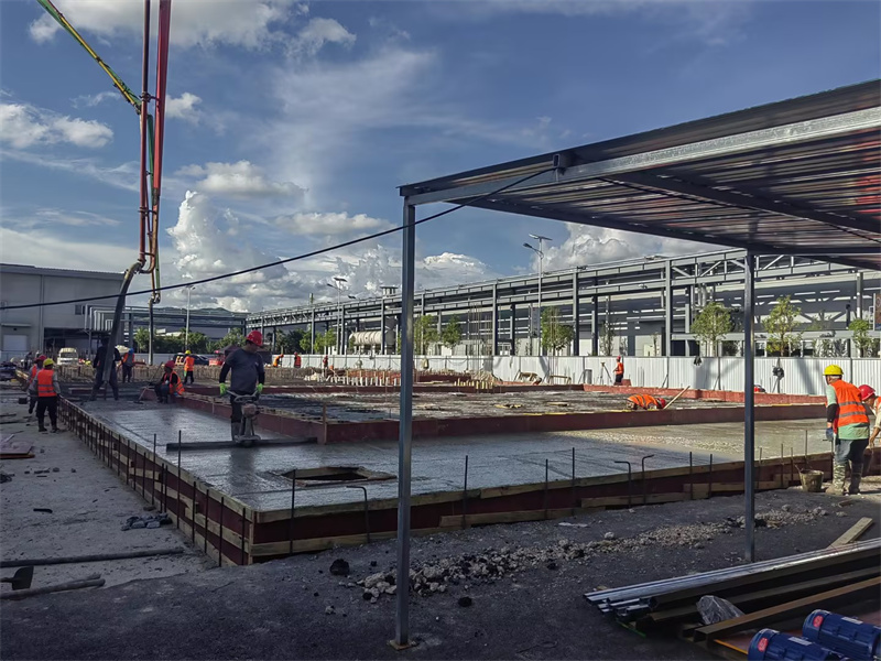 1695293497463722.jpg 01.jpg