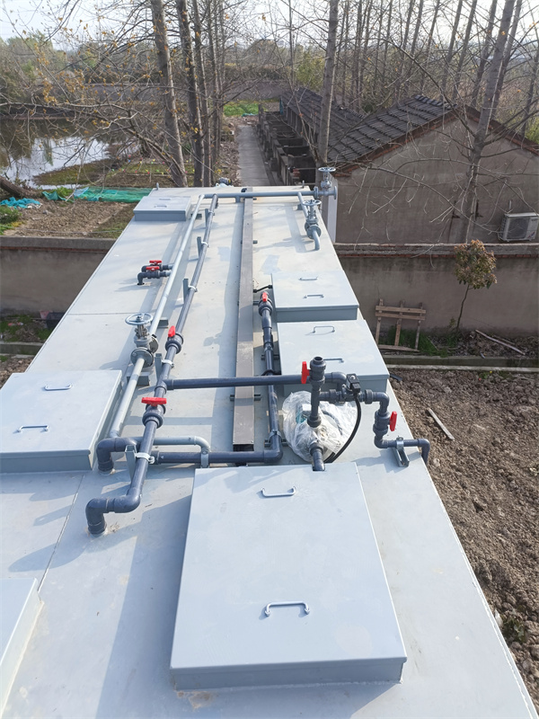 1695383396625669.jpg 0301.jpg