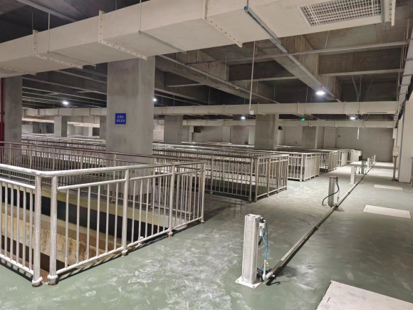 1726019419392452.png 2.png